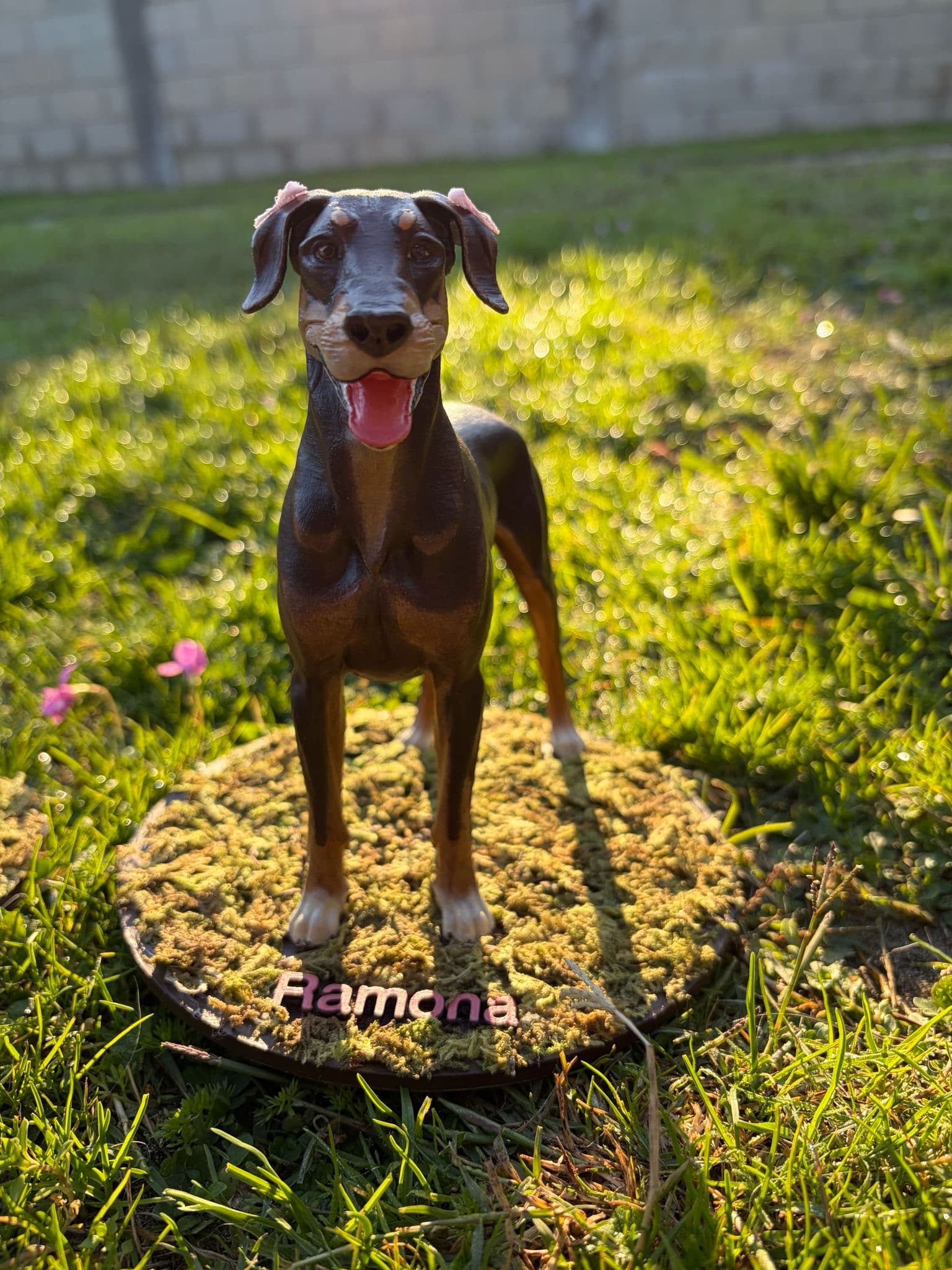 Ramona — imagen 1 de 1