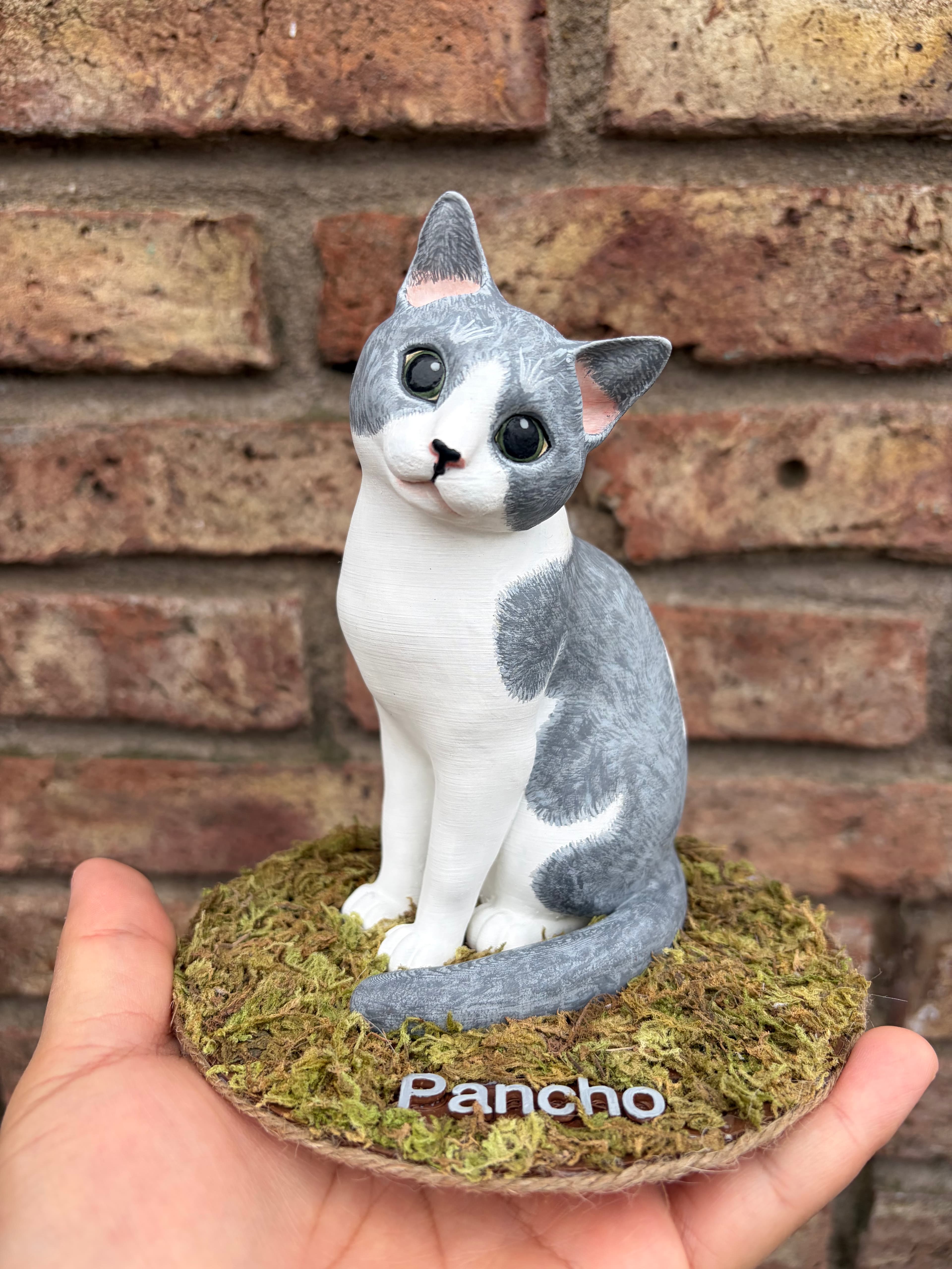 Pancho — imagen 1 de 1