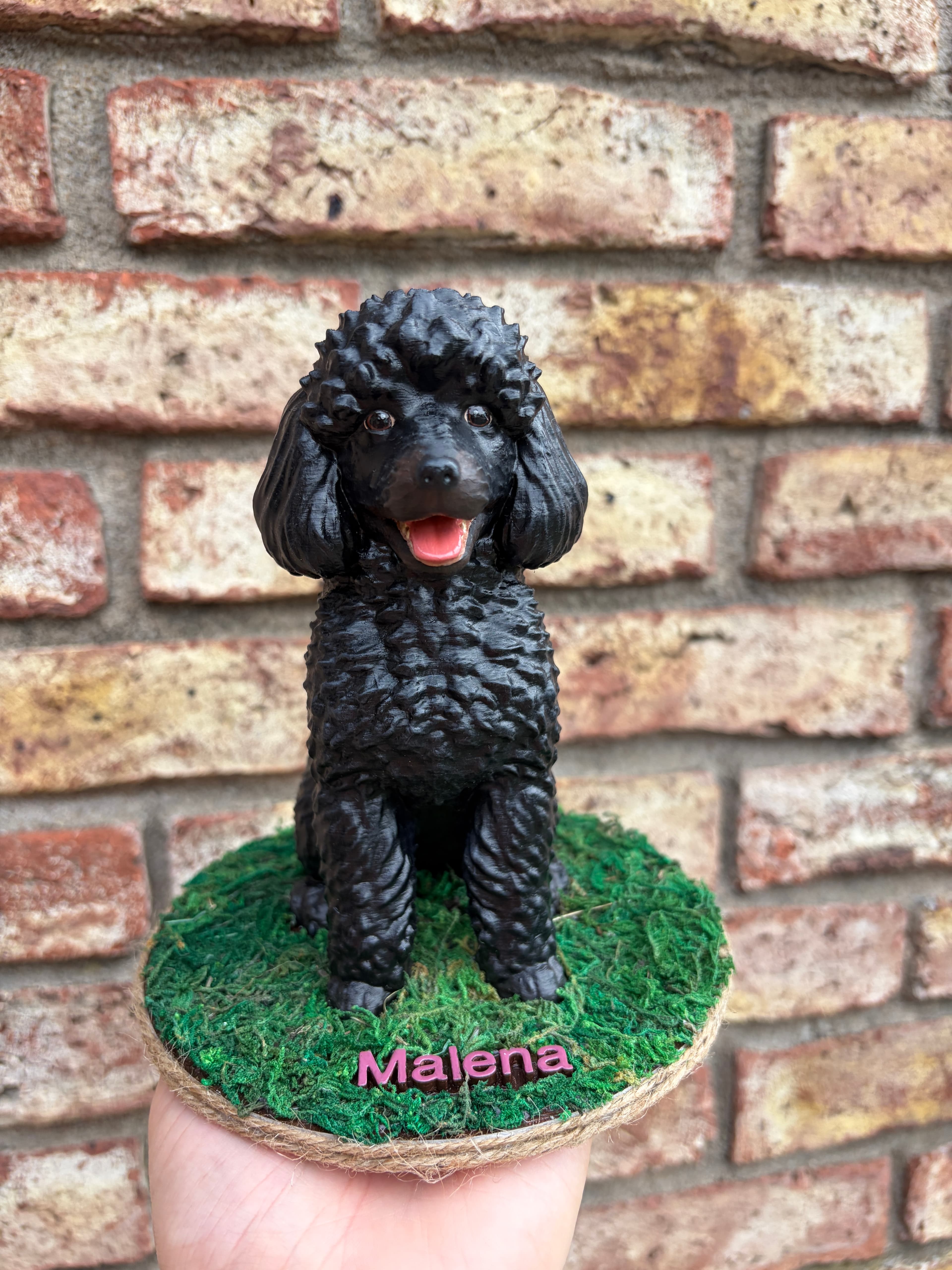 Malena — imagen 1 de 1