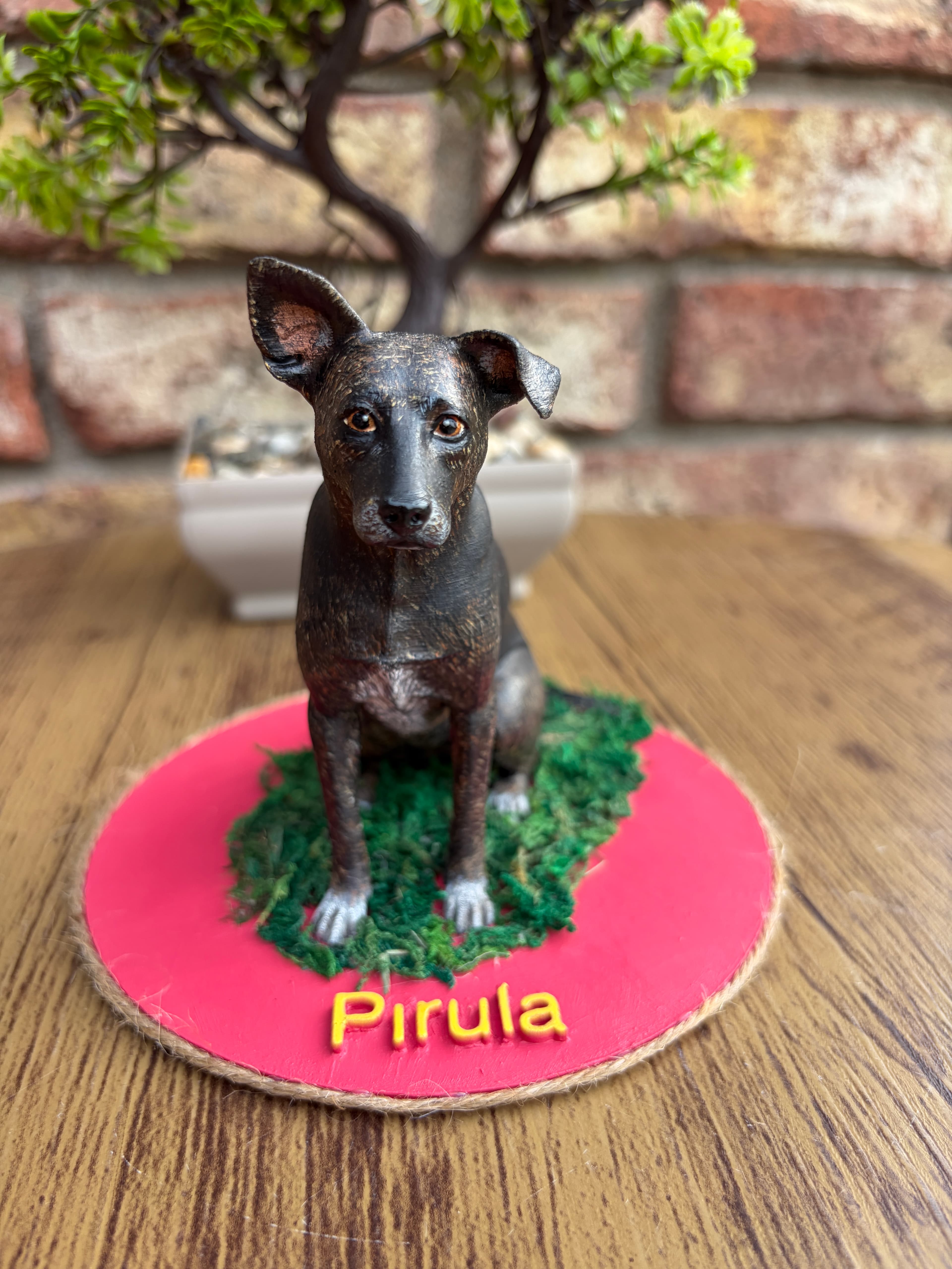 Pirula — imagen 1 de 1