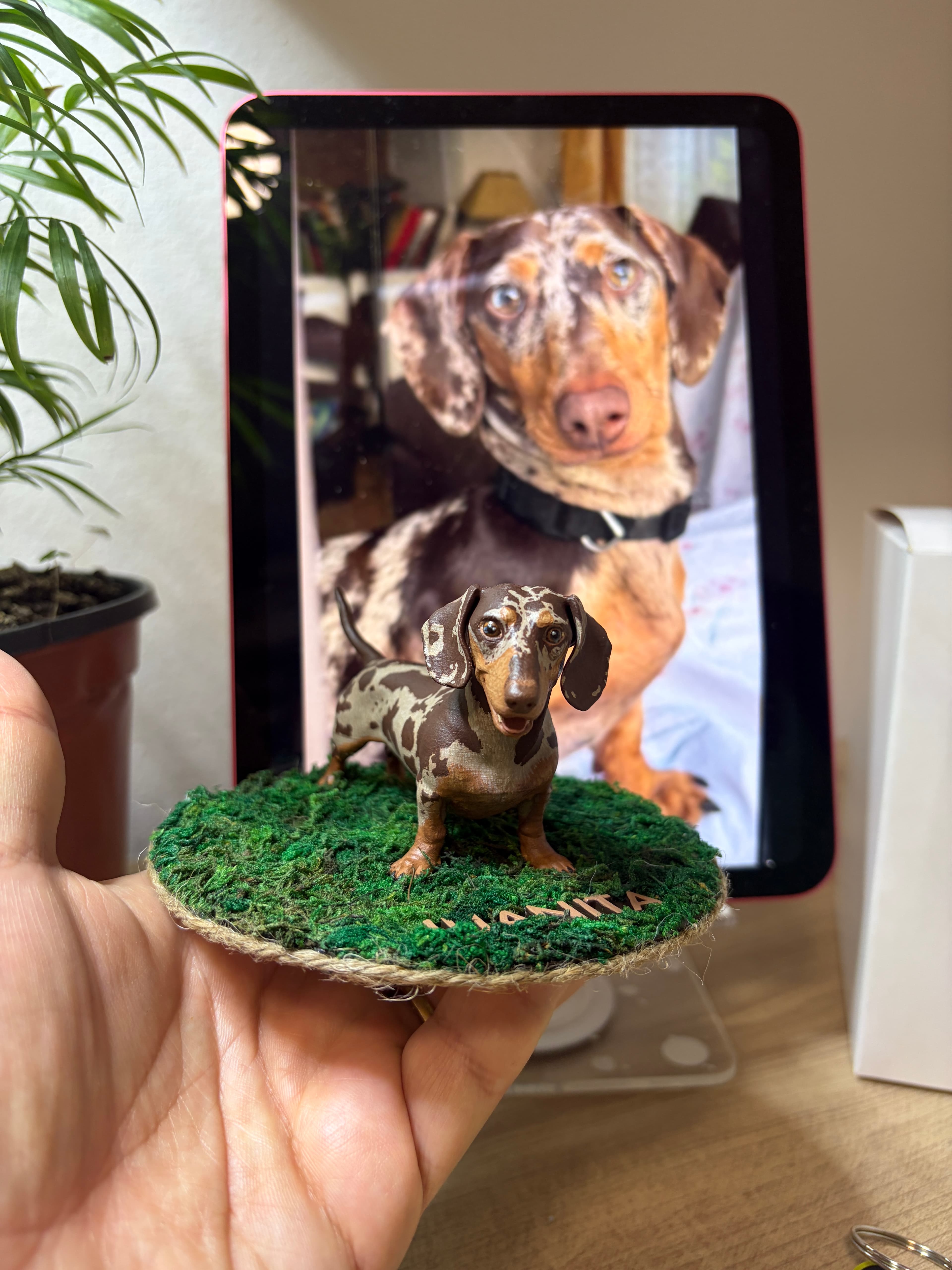 Figura 3D pintada a mano de Juanita, Salchicha