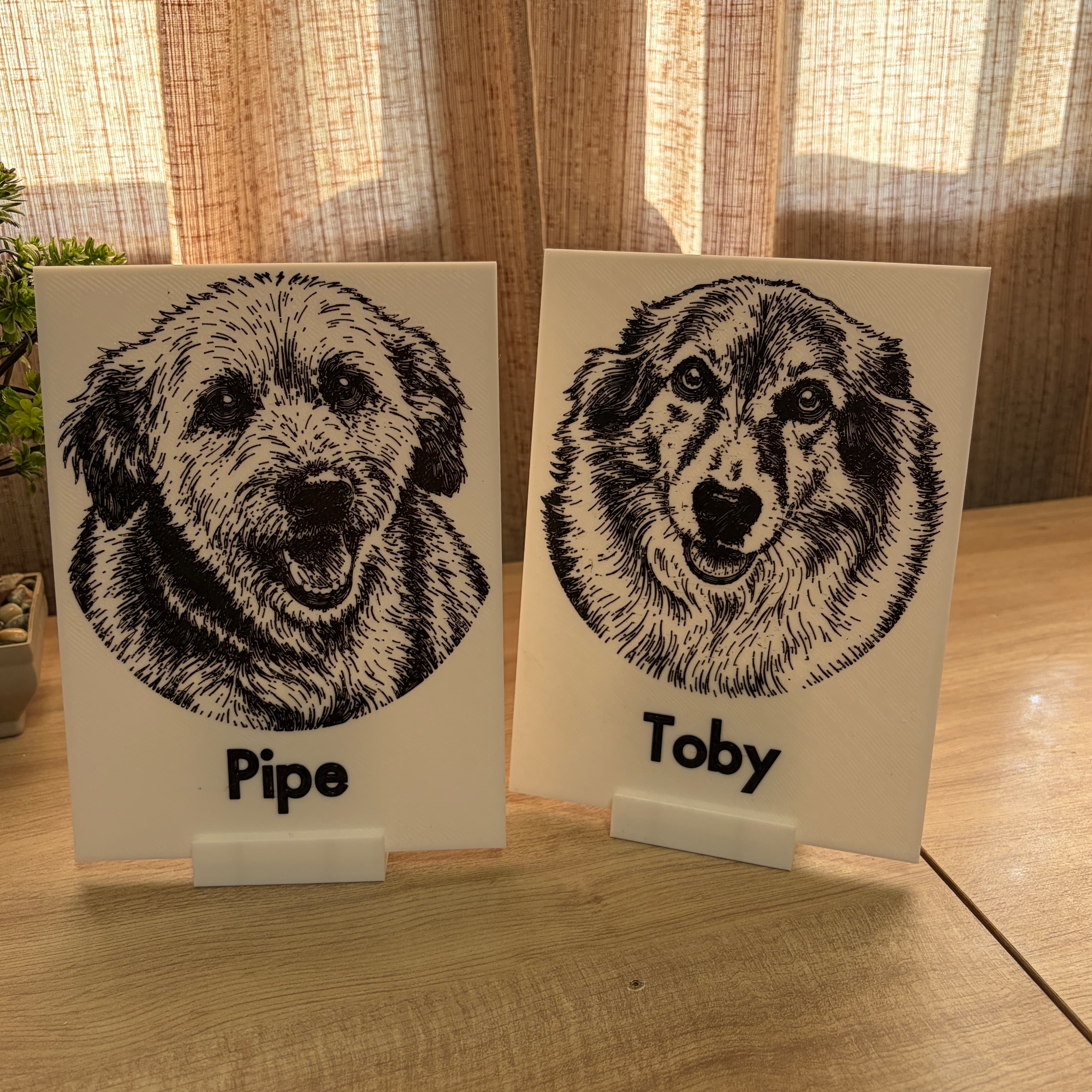 Pipe y Toby — imagen 1 de 1