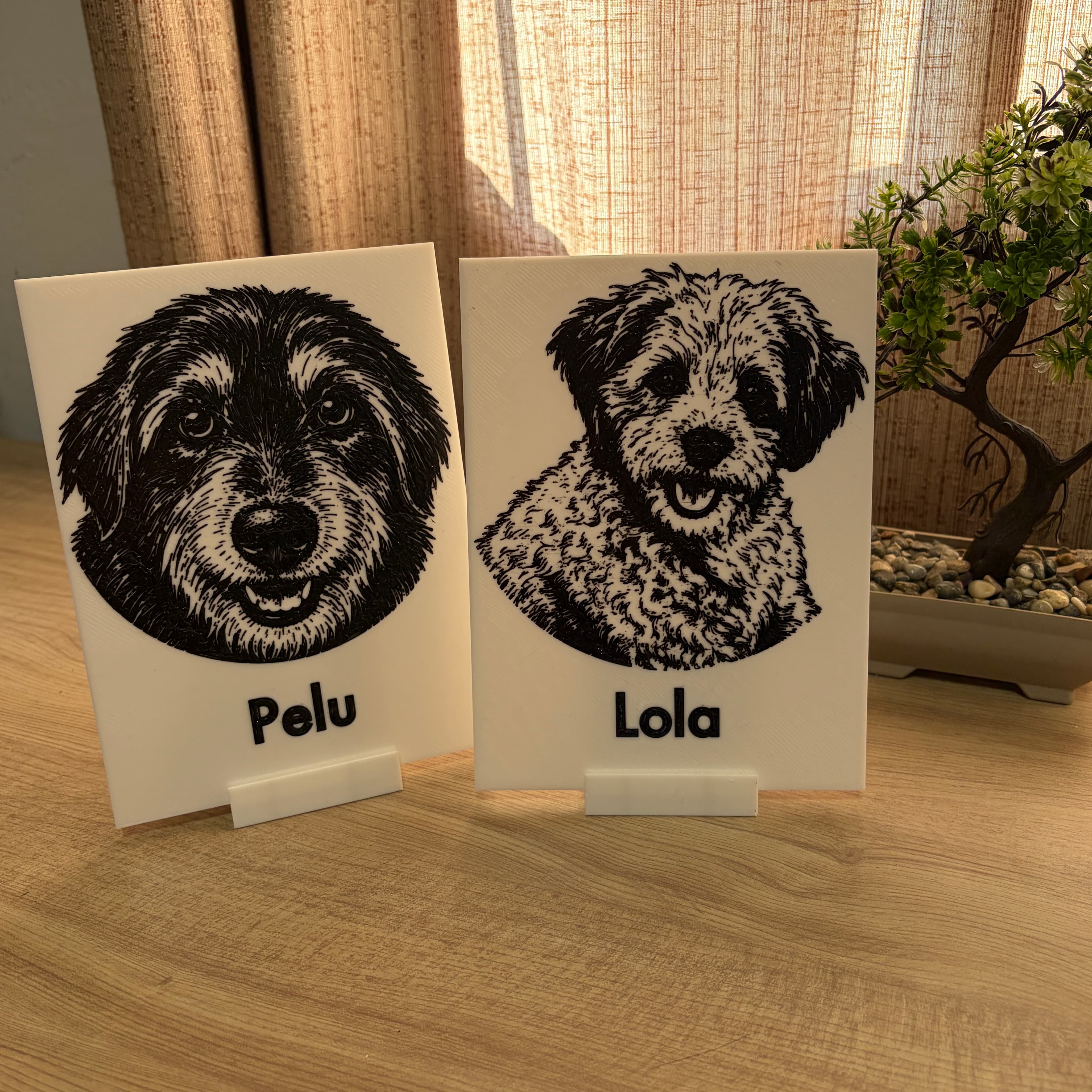 Pelu y Lola — imagen 1 de 1