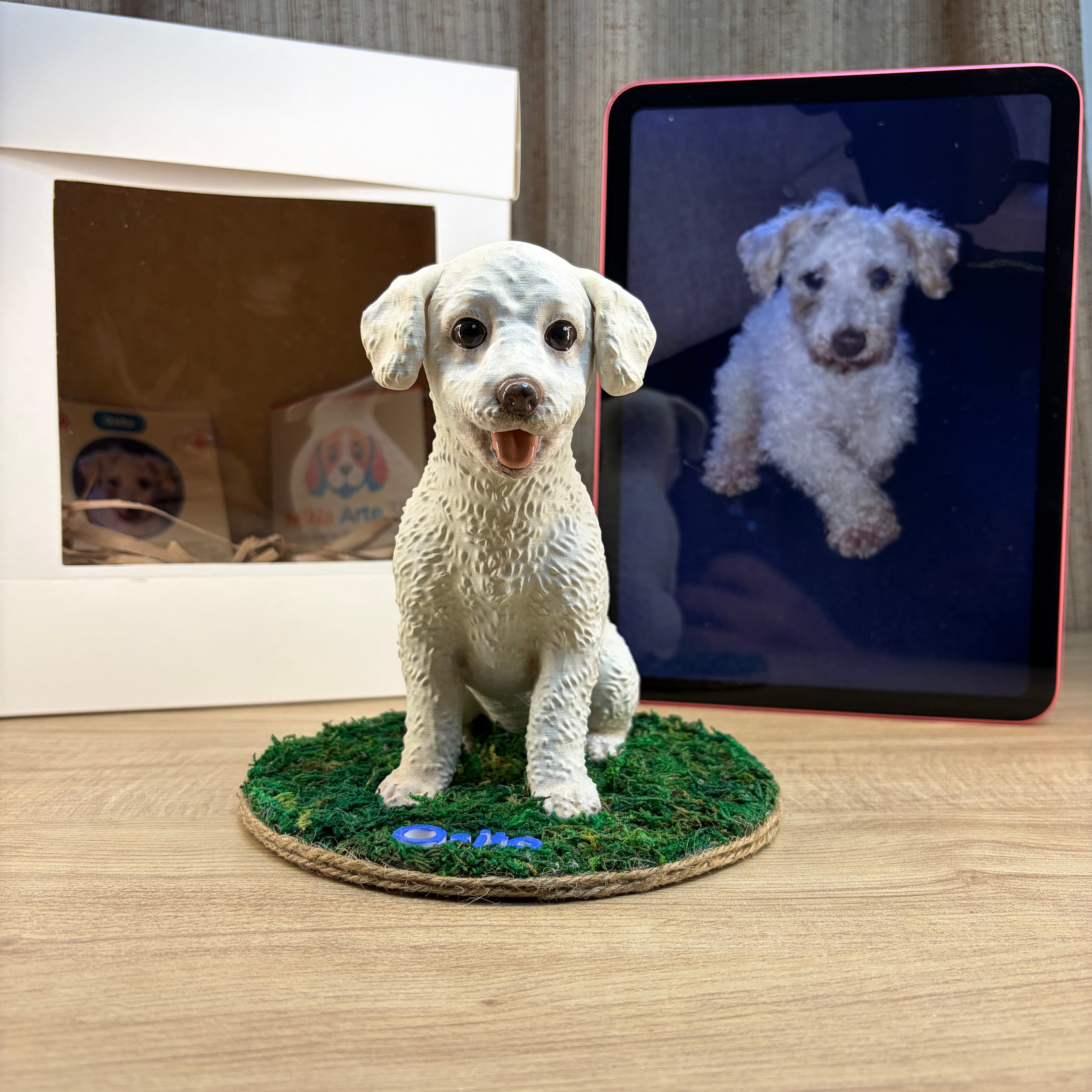 Figura 3D pintada a mano de Osito, Caniche