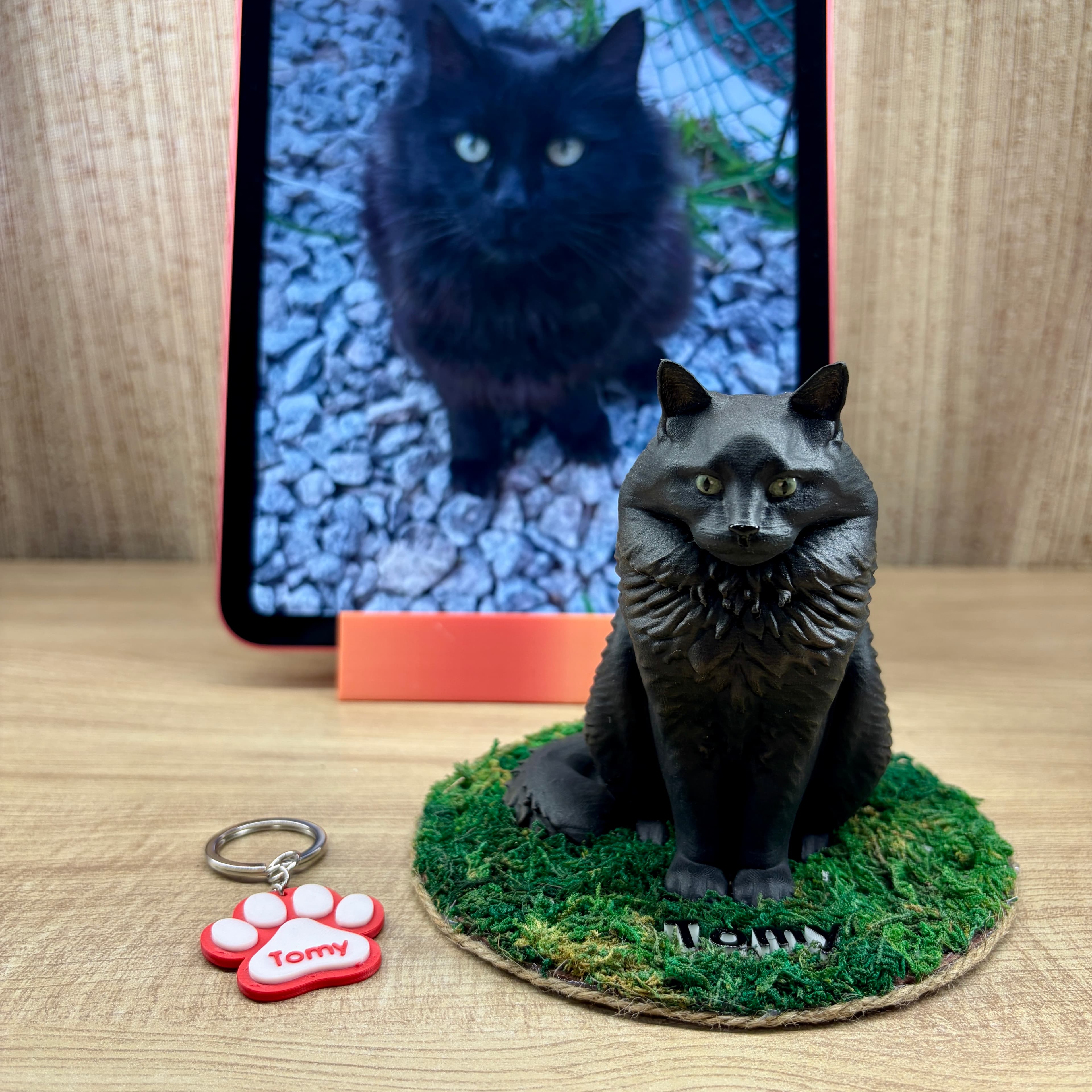 Figura 3D pintada a mano de Tomy, Gato