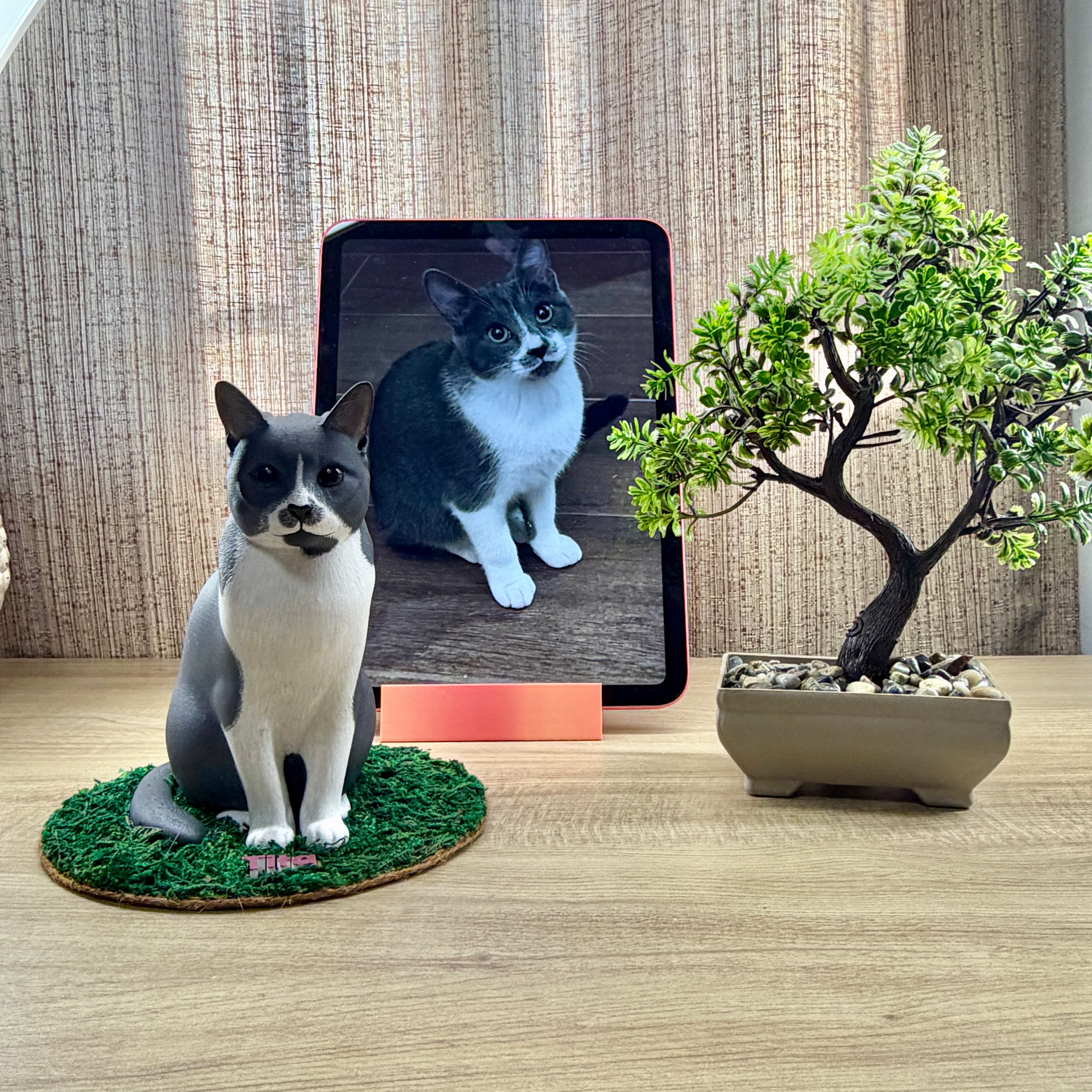 Figura 3D pintada a mano de Tita, Gato