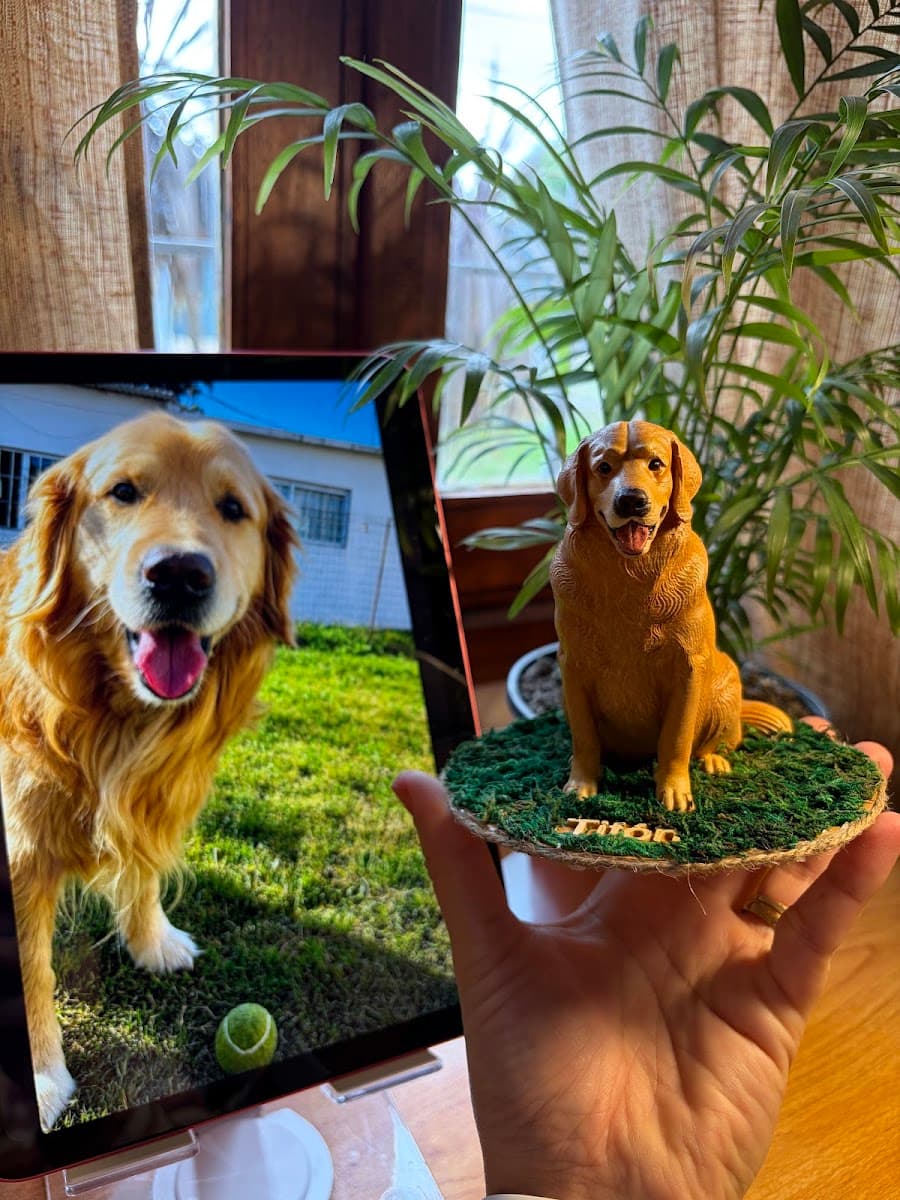 PETS